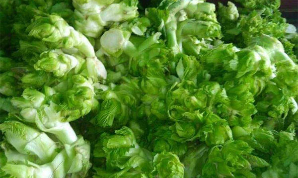 儿菜孕妇能吃吗 儿菜有什么营养价值